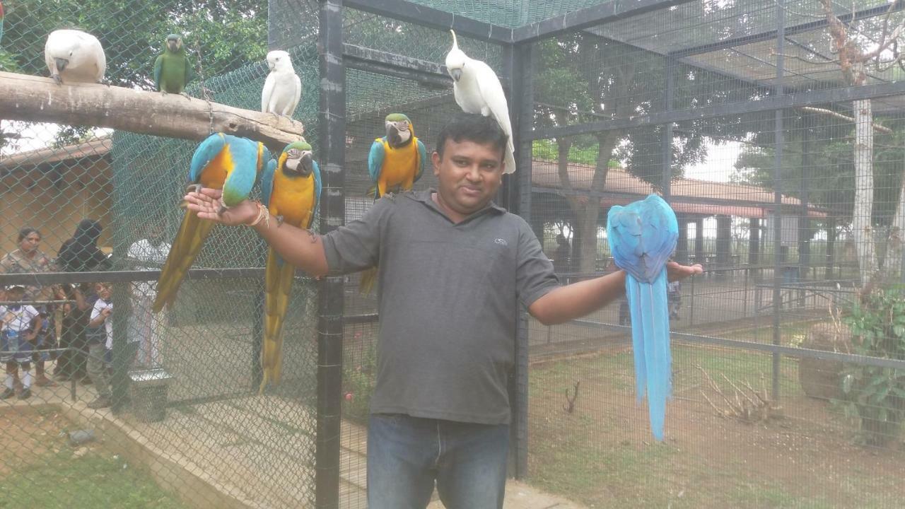 Amawin Resort Hambantota Exteriör bild